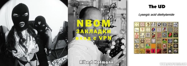 индика Новокубанск