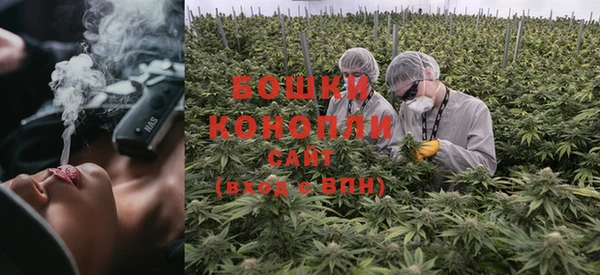 метадон Новозыбков