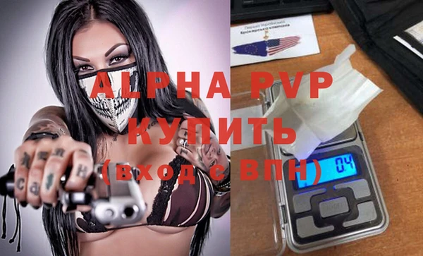 индика Новокубанск