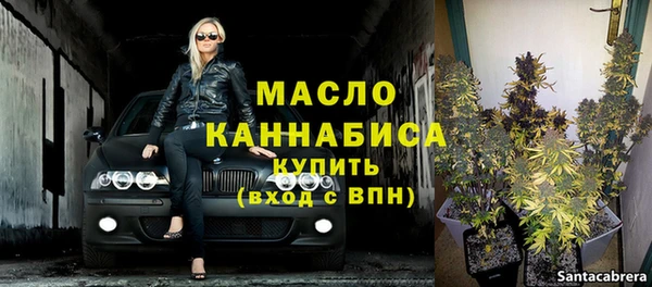 индика Новокубанск