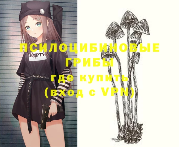 каннабис Новодвинск