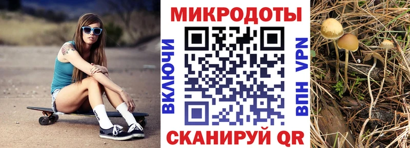 Псилоцибиновые грибы мицелий  Инта 